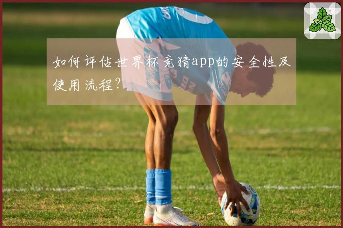 如何评估世界杯竞猜app的安全性及使用流程？