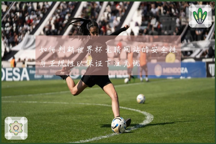 如何判断世界杯竞猜网站的安全性与正规性以保证下注无忧