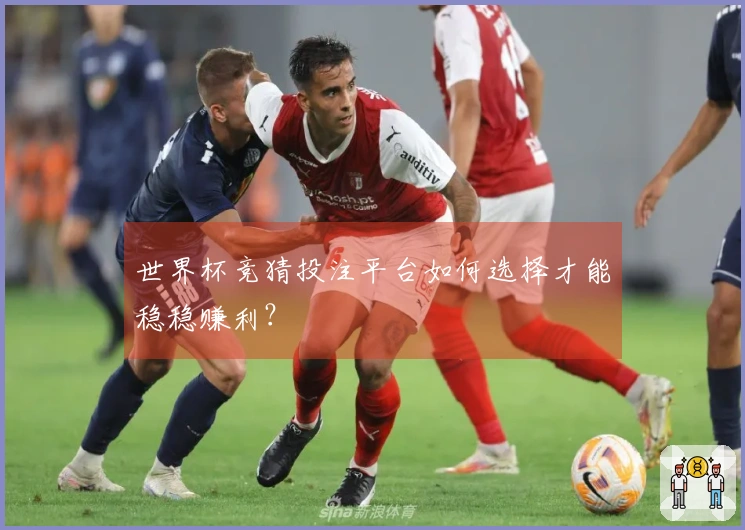 世界杯竞猜投注平台如何选择才能稳稳赚利？