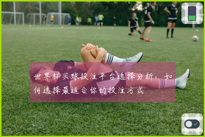 世界杯买球投注平台选择分析，如何选择最适合你的投注方式