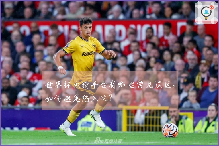 世界杯竞猜平台有哪些常见误区，如何避免陷入坑？