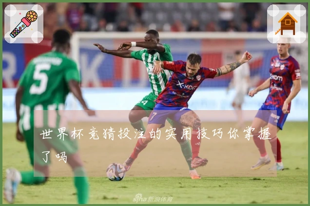 世界杯竞猜投注的实用技巧你掌握了吗
