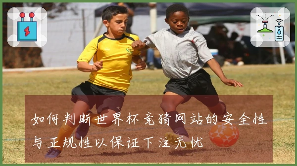如何判断世界杯竞猜网站的安全性与正规性以保证下注无忧
