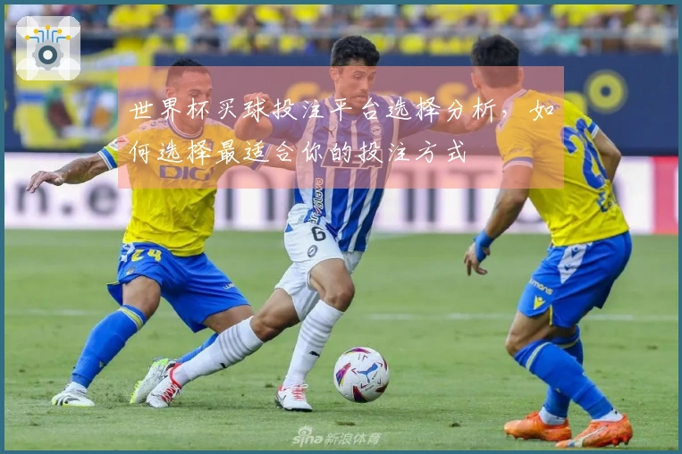 世界杯买球投注平台选择分析，如何选择最适合你的投注方式